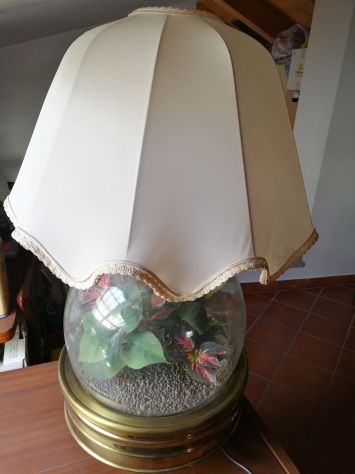 ACQUARIO CON LAMPADA ED AERATORE - Foto 3