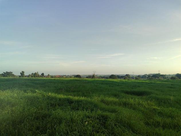 Terreno Agricolo - Rif. 2445 - Foto 8
