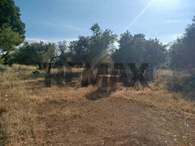 Terreno in vendita a Canicattini Bagni - Foto 4