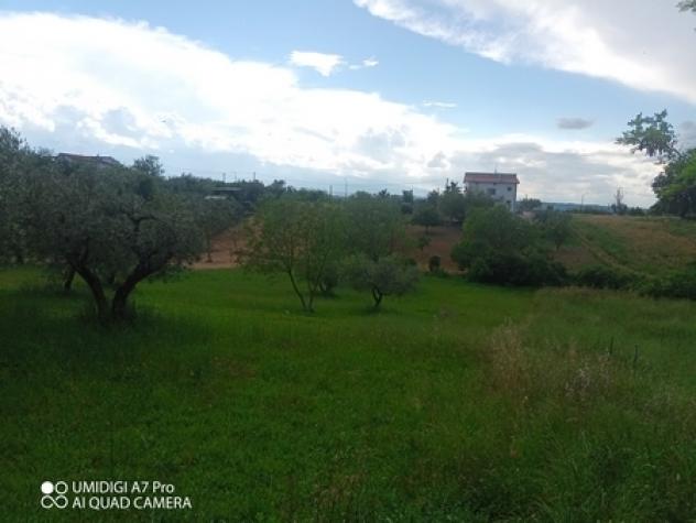 Uliveto in vendita a Lanciano - Foto 9