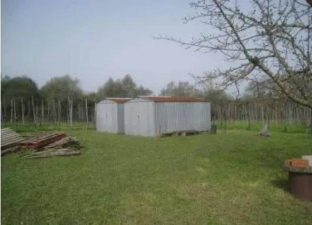 Immobile in asta di 3200 m² in vendita a Vignanello - Foto 2