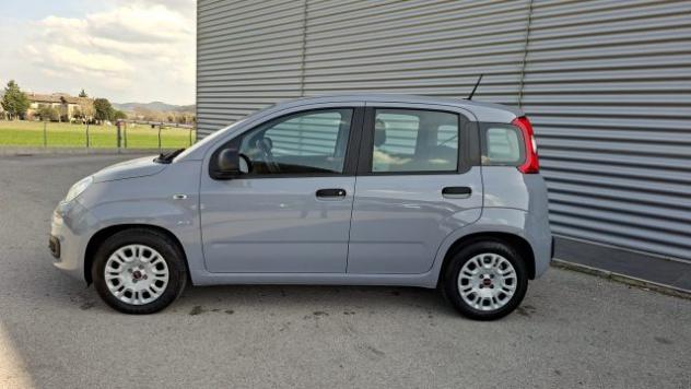 FIAT Panda 1.0 FireFly Hybrid City Life LEGGE 104 IVA ESPOSTA rif. 23401849 - Foto 7