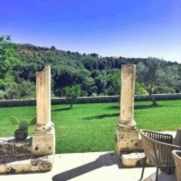 Reginella S.r.l. Societa' Agricola - Foto 4