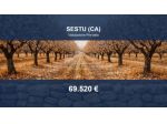 Immobile in asta di 23930 m² in vendita a Sestu