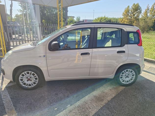 FIAT Panda Panda 1.2 Easy 69cv E6 - Foto 4