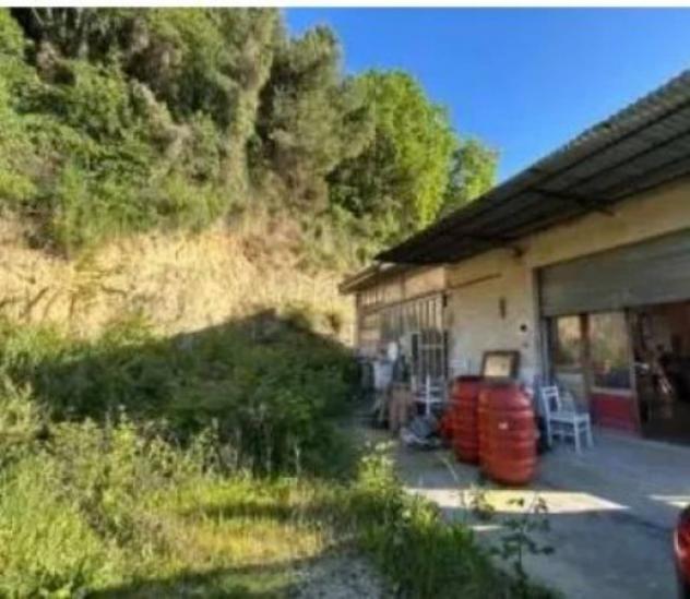 Immobile in asta di 146 m² in vendita a Pedaso - Foto 12