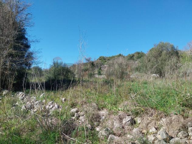 Terreno in vendita a Modica - Foto 7