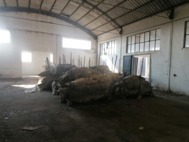 Immobile in asta di 2316 m² in vendita a Boschi Sant'Anna - Foto 7