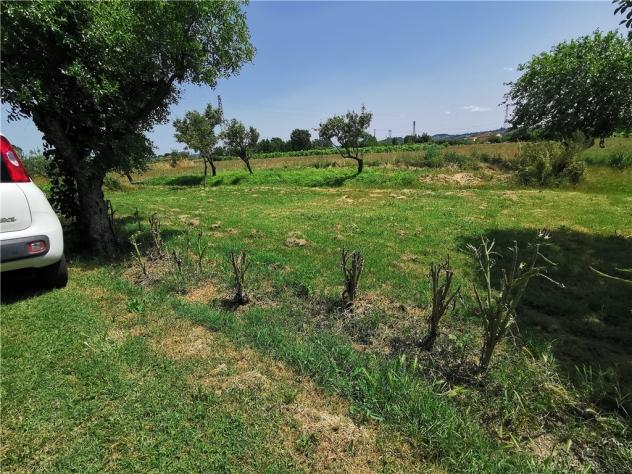 Terratetto in vendita a Isola - San Miniato 480 mq Rif: 1277471 - Foto 7