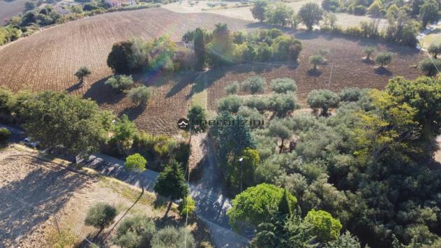 Cartoceto (pu) posizionato su un'altura che domina l'intera vallata del metauro fino alle principali spiagge di fano, non lontano dall'asse viario del - Foto 15