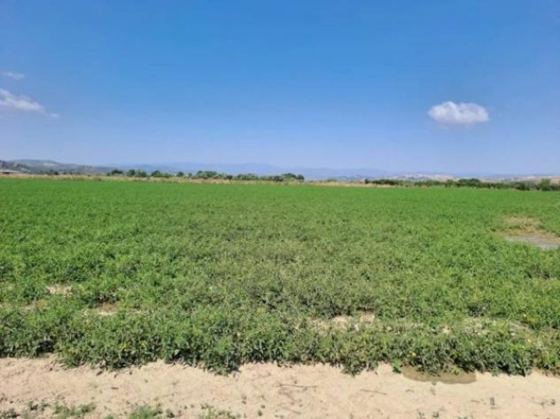 Immobile in asta di 19410 m² in vendita a Crotone - Foto 6