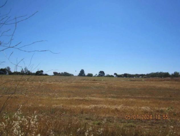 Immobile in asta di 49480 m² in vendita a Crotone - Foto 12