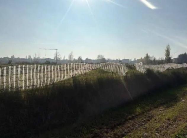 Immobile in asta di 55519 m² in vendita a Molinella - Foto 6
