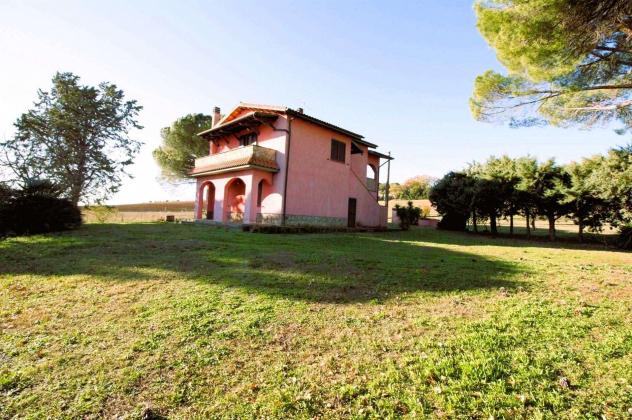 Rustico casale in Vendita in zona MONTEMASSI - Foto 2