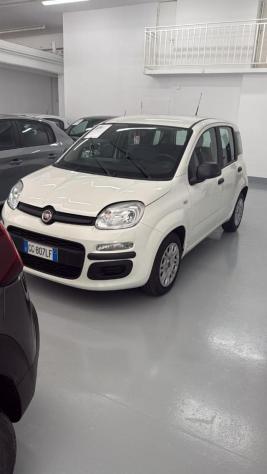 FIAT Panda 1.0 FireFly S&S Hybrid rif. 23944165