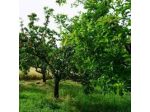 Agriturismo La Casa dei Tarocchi
