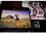 PINK FLOYD - A Collection Of Great Dance Songs SHVL 822 - LP  / 33 giri 1981 UK