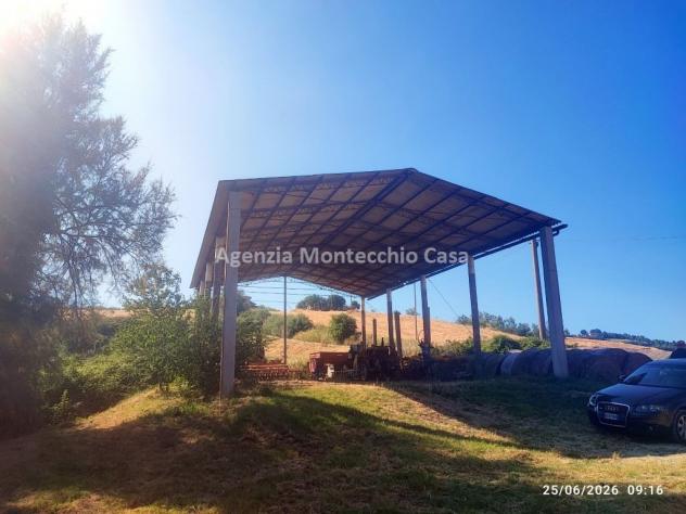 Azienda agricola con casa fienile e 26 ettari circa di terreno agricolo - Foto 4