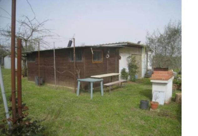 Immobile in asta di 60 m² in vendita a Vignanello - Foto 3