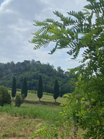 Villa in vendita a Carrara 250 mq Rif: 1222072 - Foto 6