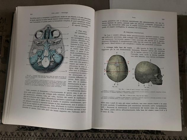 Trattato di Anatomia Umana di Testut e Latarje - Foto 3
