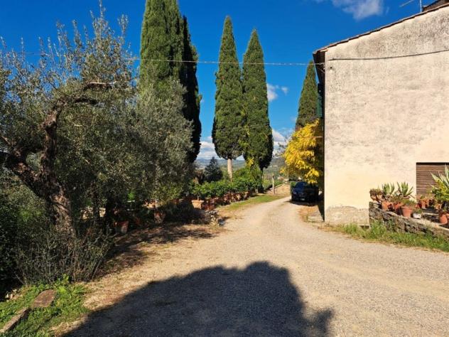 Tenuta Vivaio, Loc. Tregozzano - Rif. V185 - Foto 12