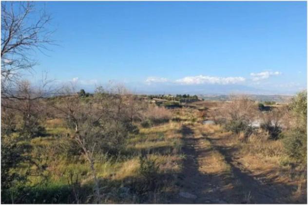 Immobile in asta di 37140 m² in vendita a Carlentini - Foto 2