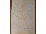 Quadro "Venature di foglie "