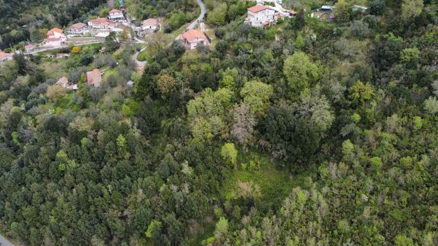 Villa in Contrada Selvatine Villaggio Santoro - Foto 4