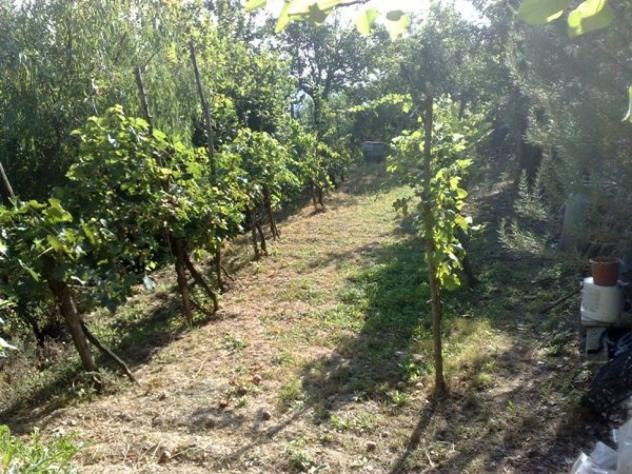 Villa in Contrada Selvatine Villaggio Santoro - Foto 10