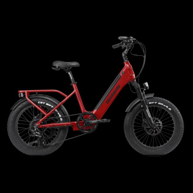 Bicicletta elettrica Lombardo Aurelia 20" - Foto 3