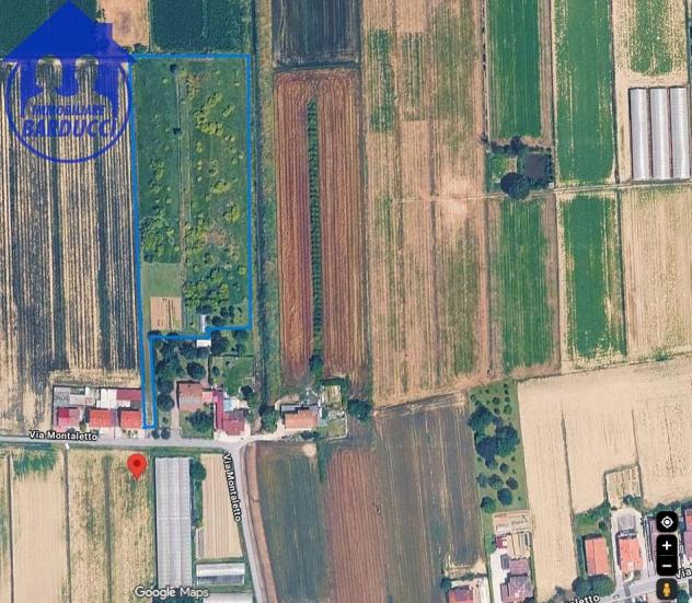 Cesenatico – Raro Terreno Agricolo di 1 Ettaro a Moso Bambù (In Fase Produttiva)