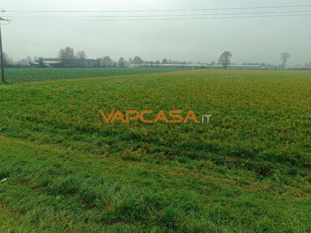 TERRENO AGRIOLO PIANEGGIANTE CON ACCESSO DIRETTO - Foto 9
