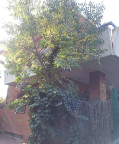 Immobile in asta di 185 m² in vendita a Foggia - Foto 4