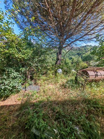 Casa singola in vendita a Pulica - Fosdinovo - Foto 3