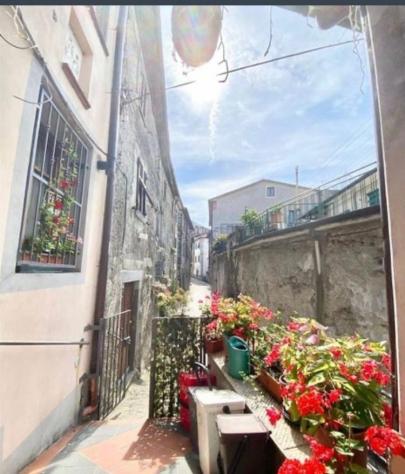 Casa singola in vendita a Fosdinovo 50 mq Rif: 1177403