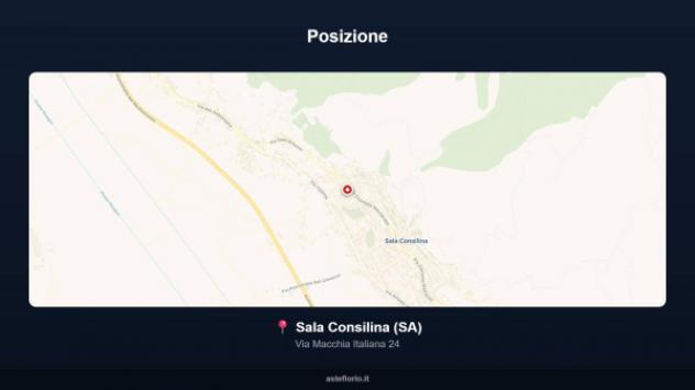 Immobile in asta di 122 m² con più di 5 locali in vendita a Sala Consilina - Foto 16
