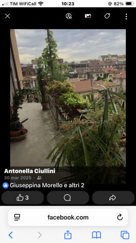 Camera con bagno privato in città studi a Milano - Foto 5