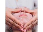 Coco Estetica