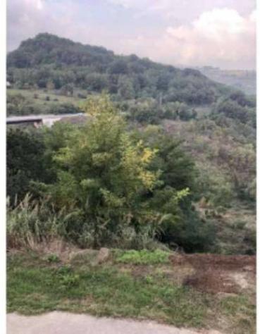 Immobile in asta di 15089 m² in vendita a Ruvo del Monte - Foto 4