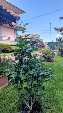 Prestigiosa villetta indipendente in vendita