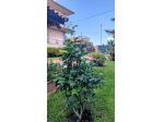 Prestigiosa villetta indipendente in vendita