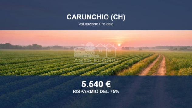Immobile in asta di 46089 m² in vendita a Carunchio