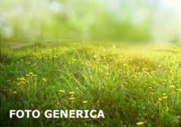 Terreno agricolo in vendita a San Piero a Grado - Pisa 3500 mq  Rif: 1272460
