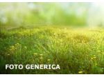 Terreno agricolo in vendita a San Piero a Grado - Pisa 3500 mq Rif: 1272460