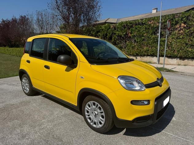 Fiat Panda 1.0 FireFly S&S Hybrid Pandina- 1.516 KM 2024 - Foto 2