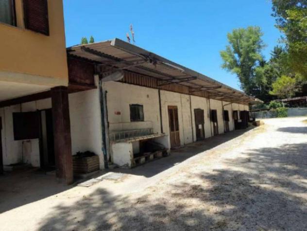 Immobile in asta di 188615 m² in vendita a Castelnuovo Berardenga - Foto 3