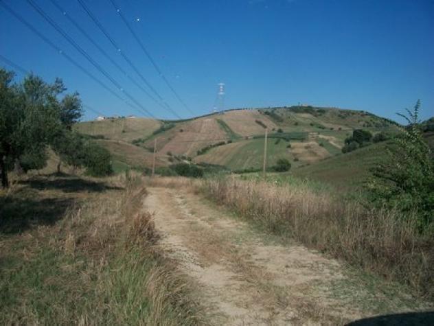 Uliveto in vendita a Lanciano - Foto 8