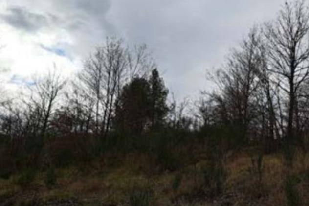 Immobile in asta di 195140 m² in vendita a Piancastagnaio - Foto 4