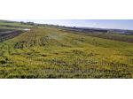 IMMOBILI-IMMOBILE COMMERCIALE-Case Sparse Bosco